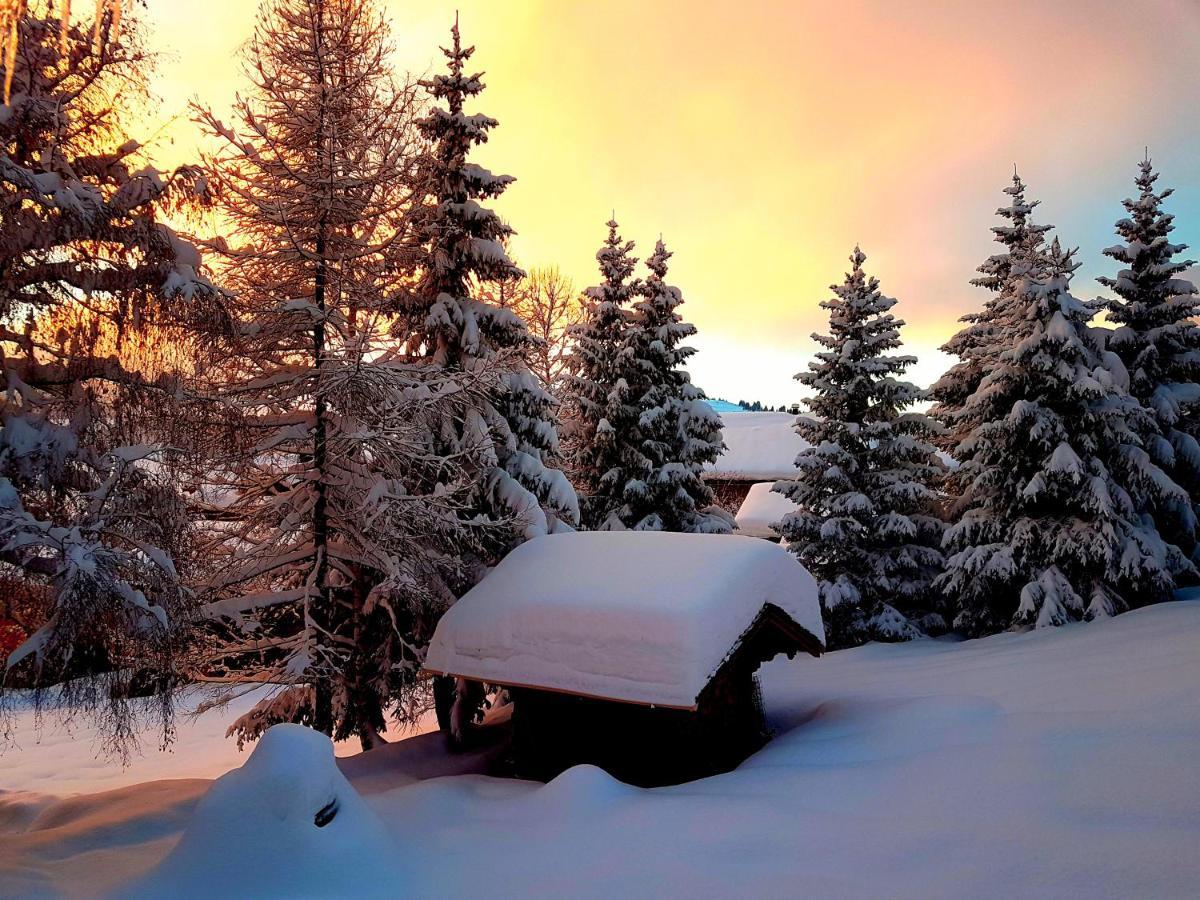 Appartement Cosy Aux Saisies N1 Les Saisies Exteriér fotografie